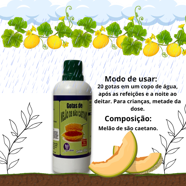 Melão-de-São-Caetano Líquido - 100 ml