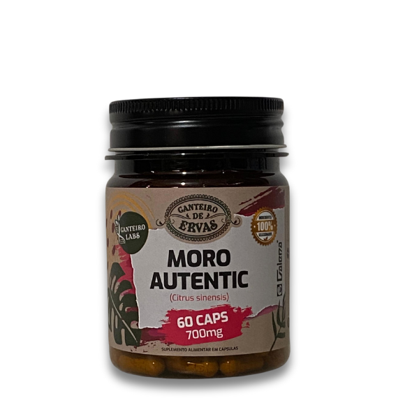 Moro Authentic (Citrus Sinensis) - Canteiro de ervas